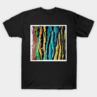 Cottonwood Bark T-Shirt